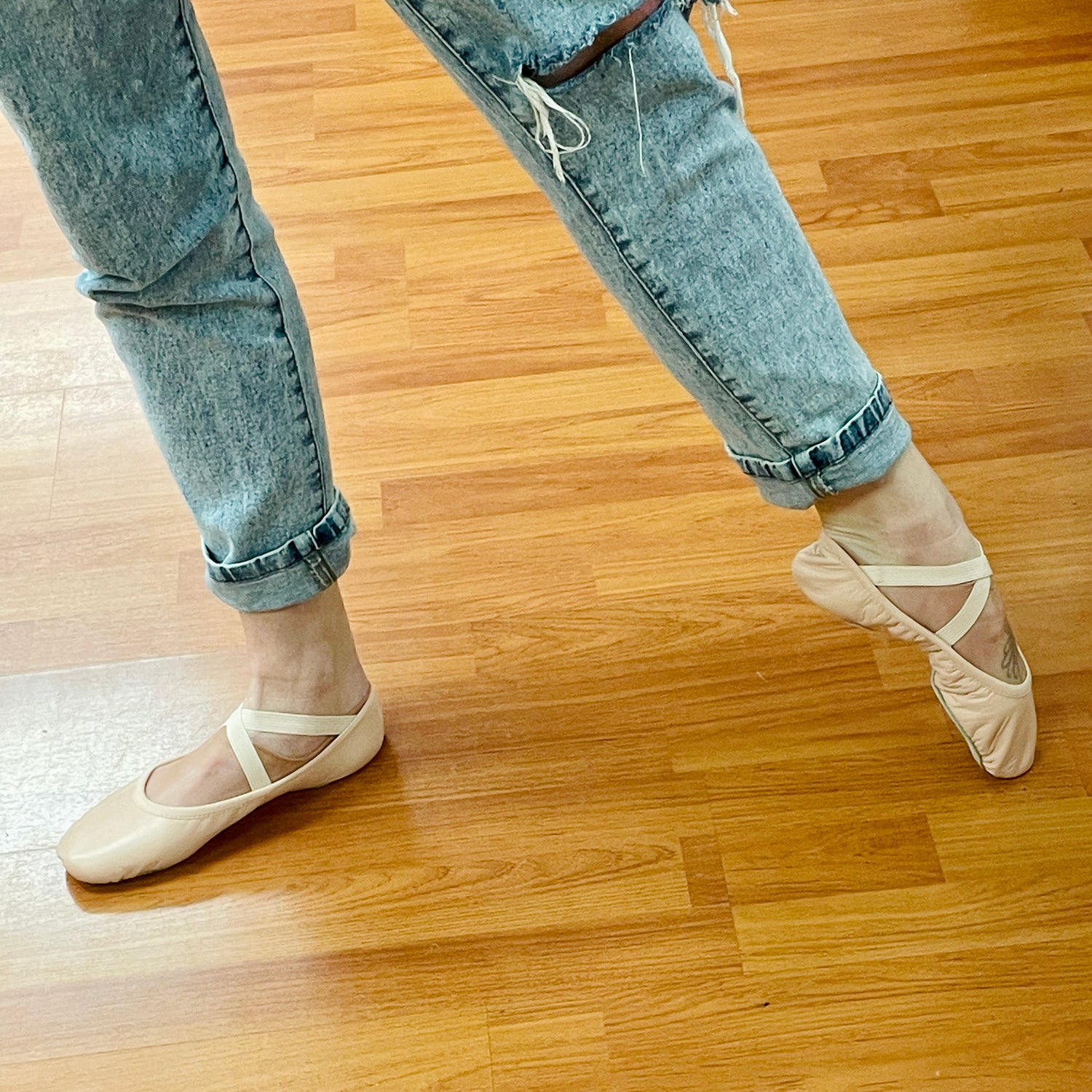 Leather and Canvas Ballet Shoes